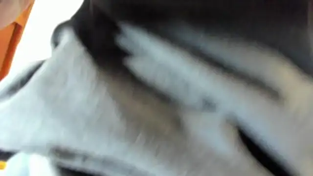 pipe monstercock online show from 05-21-26, 08:16