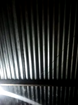 Sxxmann online show from 07-01-26, 04:25