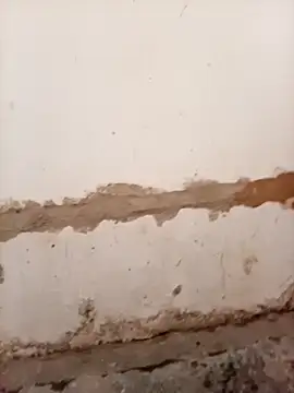 Nkazimulz online show from 04-09-26, 01:27