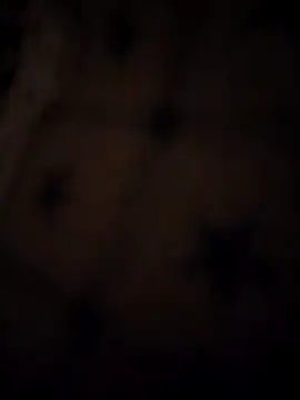  sandy 00 online show from 04-19-26, 06:21