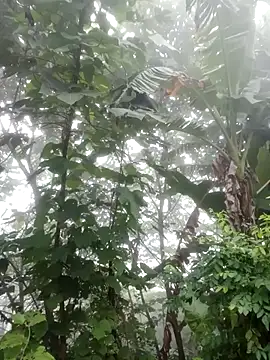 Snapshot of Elena_Mia chatting on 07-09-26, 11:09 Elena Mia online show from 07-09-26, 11:09
