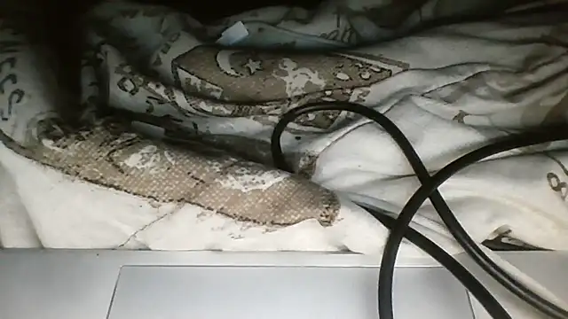 darkdadaaa online show from 04-27-26, 08:23