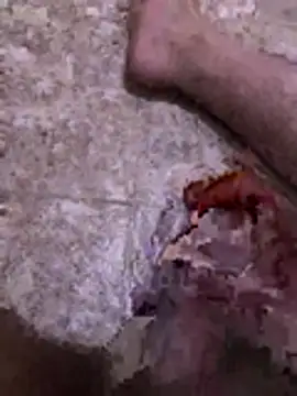 plexr online show from 05-24-26, 10:59