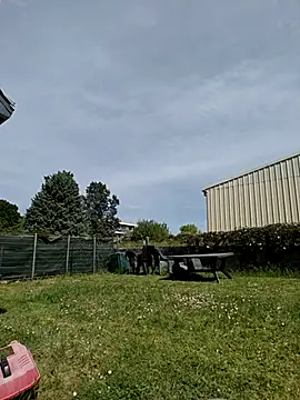 Osuleom29 online show from 04-25-26, 01:25