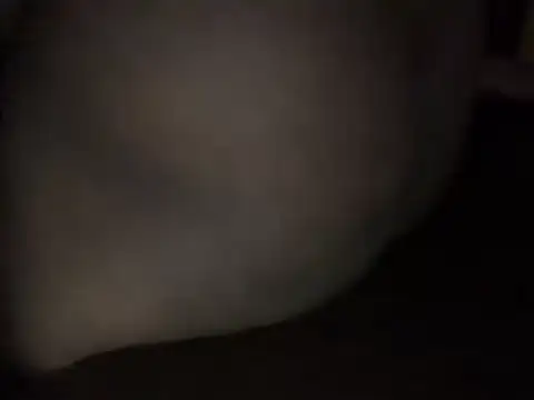 jaya transgender online show from 04-25-26, 06:05