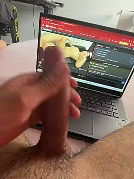 Wolf 18cm online show from 07-05-26, 08:54