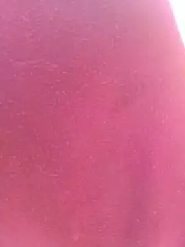 bombasexual online show from 05-06-26, 01:05