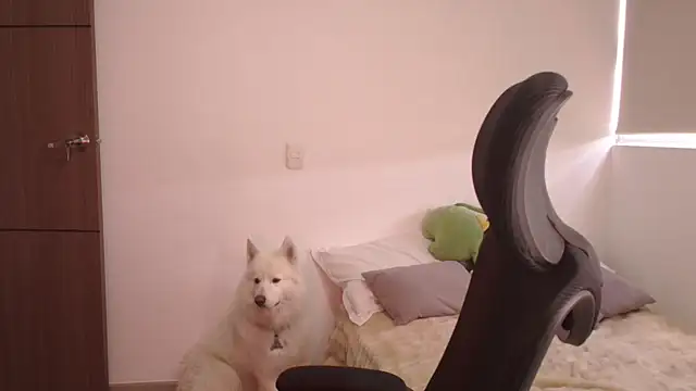 Snapshot of abbyyandmaxx chatting on 06-24-26, 03:55 abbyyandmaxx online show from 06-24-26, 03:55