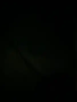 slutytransgal online show from 05-06-26, 02:08