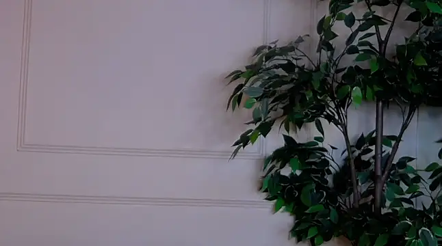 IvyLustt online show from 06-10-26, 05:18