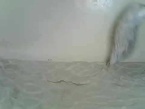 Sexxyfrey online show from 06-29-26, 05:46