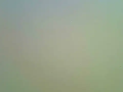 Maqueilah  online show from 06-14-26, 04:36