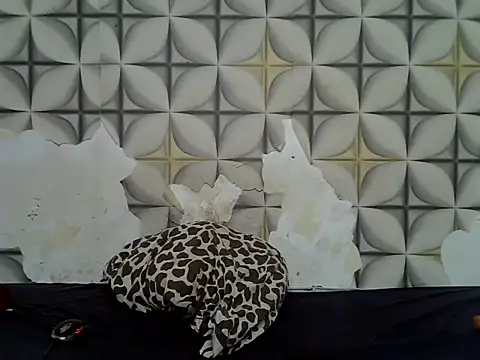 fine grap online show from 06-23-26, 05:05