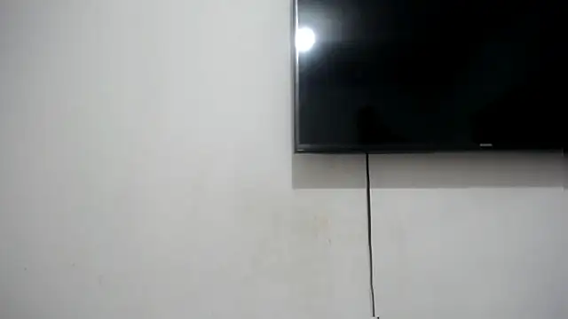 Fox Loves online show from 07-11-26, 11:17