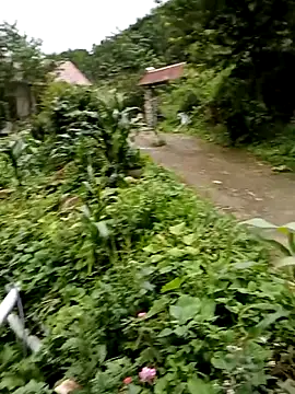 Snapshot of Elfledaa chatting on 06-20-26, 09:56 Elfledaa online show from 06-20-26, 09:56