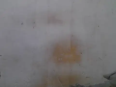 sweet camillah00 online show from 06-04-26, 03:18