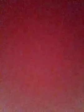pricilanunes online show from 07-06-26, 11:40