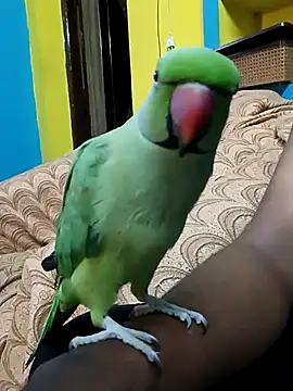 Lawrencedlkk007 online show from 03-09-25, 07:34