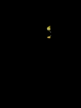 Snapshot of lambakooli chatting on 06-13-26, 07:56 lambakooli online show from 06-13-26, 07:56