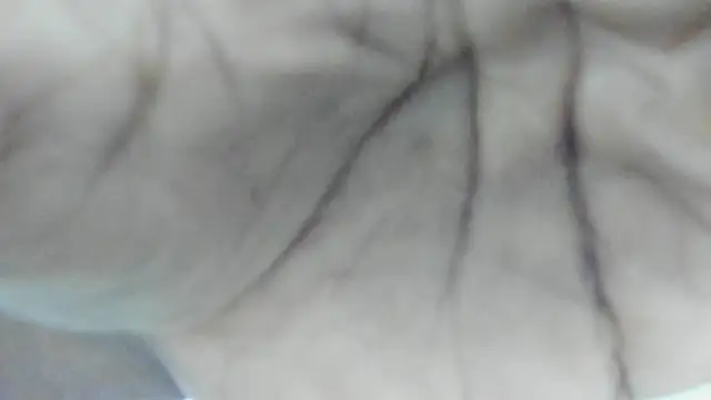 Snapshot of Philip_Cuellar chatting on 07-23-26, 12:36 Philip Cuellar online show from 07-23-26, 12:36