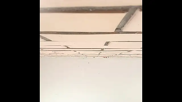 IronicBuckle online show from 07-02-26, 03:23