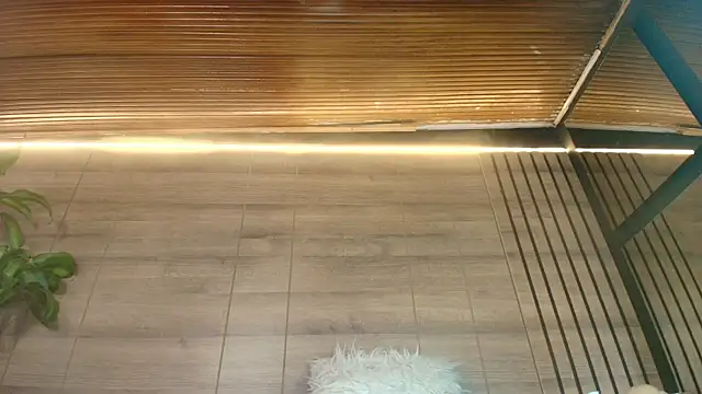 Snapshot of alys_molly_11 chatting on 08-06-26, 11:12 alys molly 11 online show from 08-06-26, 11:12