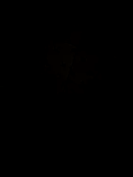 Snapshot of fuckerudheen chatting on 07-05-26, 10:22 fuckerudheen online show from 07-05-26, 10:22