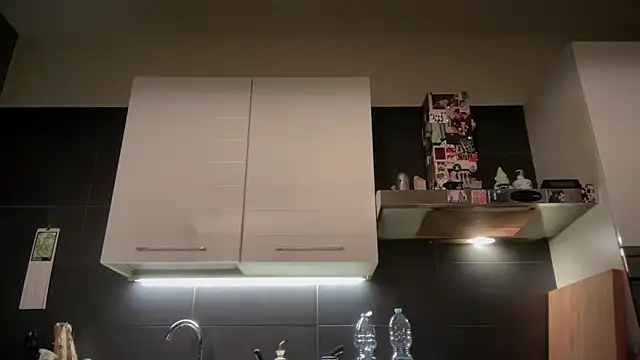 theitalianbear online show from 05-11-26, 07:33
