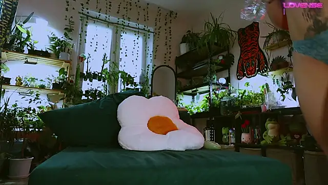 Dead Butterfly online show from 05-12-26, 11:18