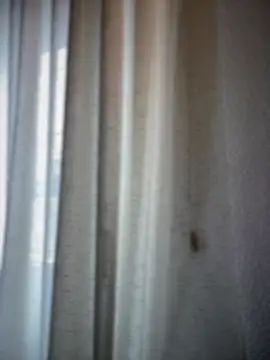 Snapshot of Chic_desire chatting on 03-20-26, 10:09 Chic desire online show from 03-20-26, 10:09