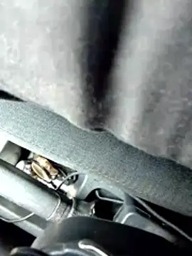 Snapshot of LifeLineSL chatting on 03-04-26, 06:30 LifeLineSL online show from 03-04-26, 06:30