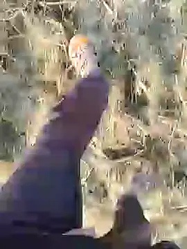 Snapshot of ThethunderPo chatting on 12-19-24, 03:07 ThethunderPo online show from 12-19-24, 03:07