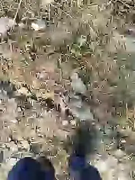 Snapshot of ThethunderPo chatting on 12-28-24, 02:43 ThethunderPo online show from 12-28-24, 02:43