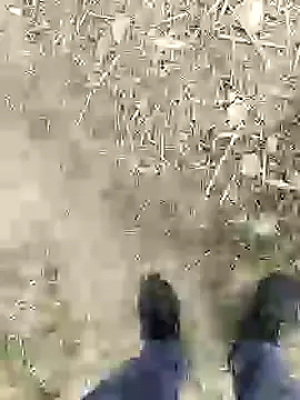 Snapshot of ThethunderPo chatting on 01-04-25, 02:46 ThethunderPo online show from 01-04-25, 02:46