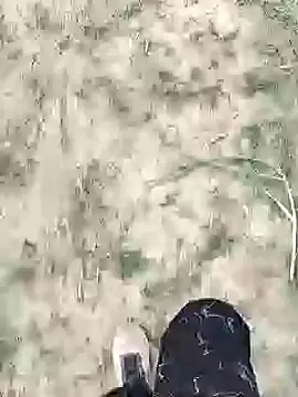 Snapshot of ThethunderPo chatting on 01-18-25, 02:25 ThethunderPo online show from 01-18-25, 02:25