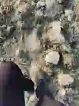 Snapshot of ThethunderPo chatting on 01-19-25, 02:36 ThethunderPo online show from 01-19-25, 02:36