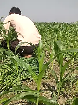 Snapshot of ThethunderPo chatting on 03-03-25, 04:25 ThethunderPo online show from 03-03-25, 04:25