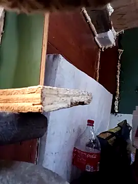 Snapshot of Serapitocojelon chatting on 10-28-25, 09:17 Serapitocojelon online show from 10-28-25, 09:17