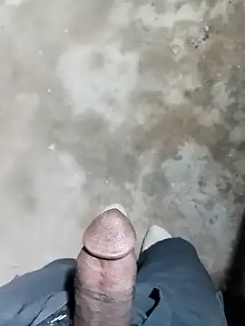 Snapshot of Bengali_BULL1 chatting on 11-15-25, 06:26 Bengali BULL1 online show from 11-15-25, 06:26