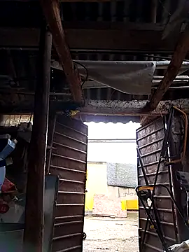 sarpe4 online show from 10-04-25, 05:27