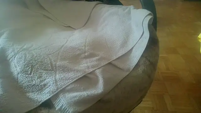 Python43 online show from 02-20-25, 08:39