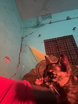 dadataher online show from 01-14-25, 06:28