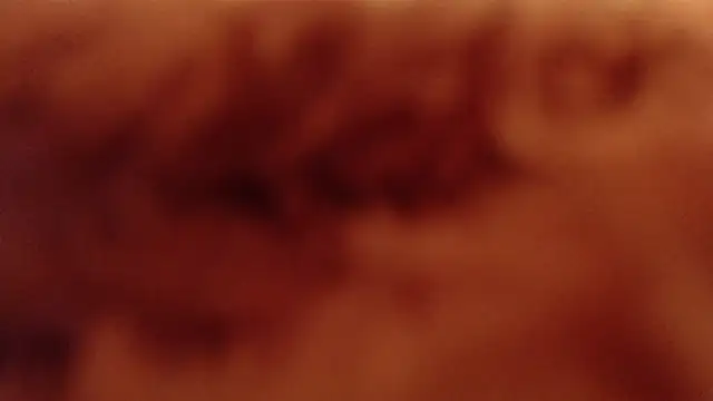 larawet online show from 01-04-25, 11:17