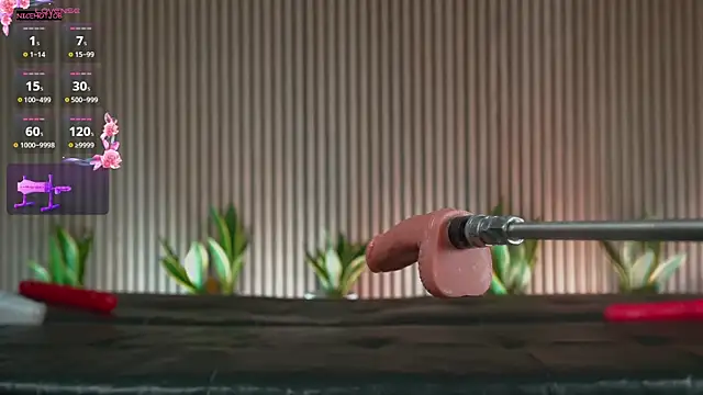 NiceHotJob online show from 03-04-25, 09:54