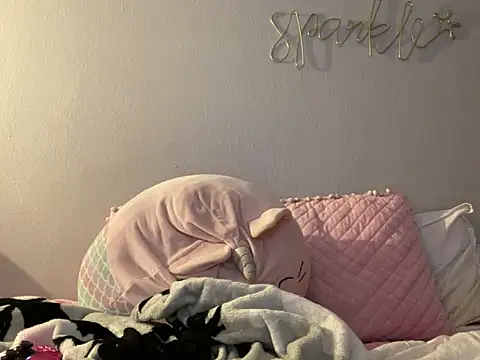 bunnypillow online show from 12-10-24, 04:24