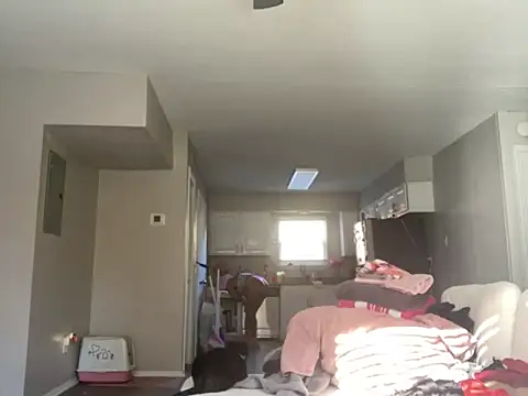 bunnypillow online show from 11-14-25, 03:00