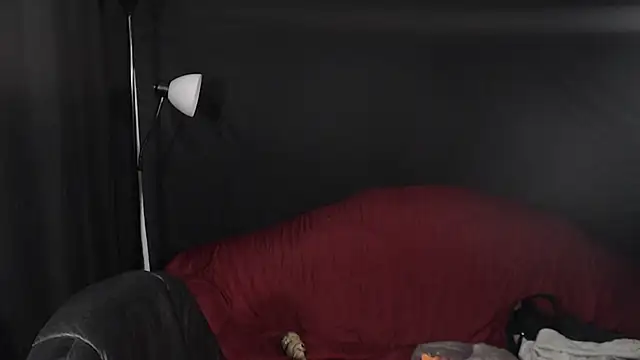 Snapshot of Metalstud chatting on 12-29-24, 12:09 Metalstud online show from 12-29-24, 12:09