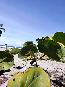 Luna-Natural online show from 12-14-25, 04:23