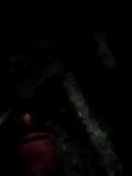 Ygnacio 95 online show from 12-16-24, 03:30