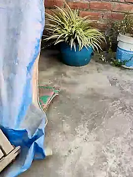 indianSmartboy online show from 12-21-24, 11:11